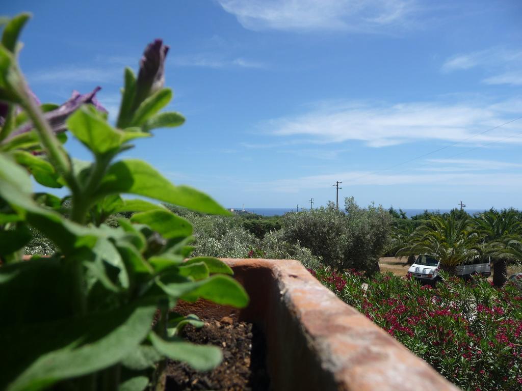 Santa Maria di Leuca Masseria Serine מראה חיצוני תמונה